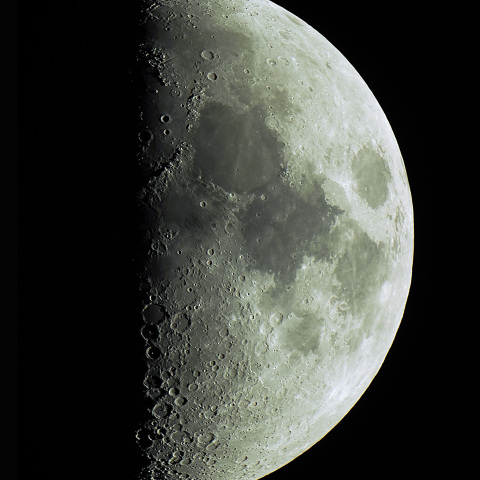 月齢8.2（2025/08/31）