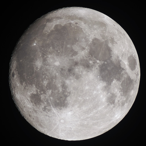 月齢14.3（2025/09/06）