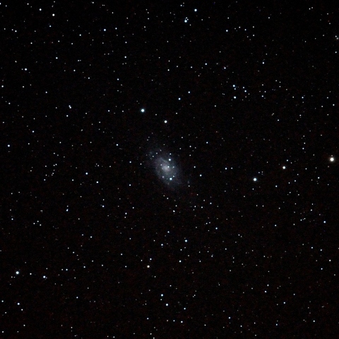 NGC2403