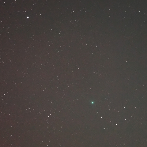 スワン彗星（2025/10/13）