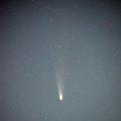 レモン彗星（2025/11/03）