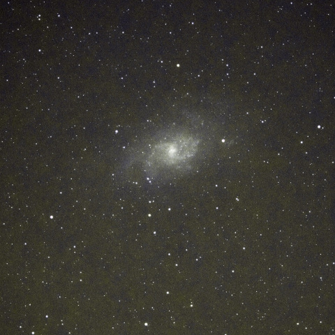 M33
