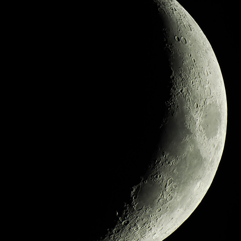 月齢5.1（2025/11/25）