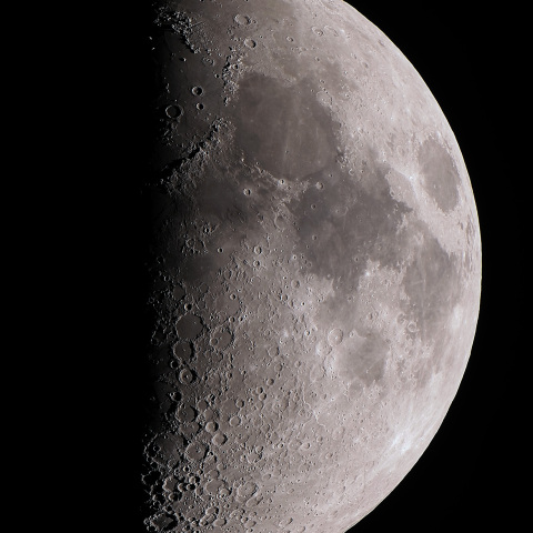 月齢8.1（2025/11/28）