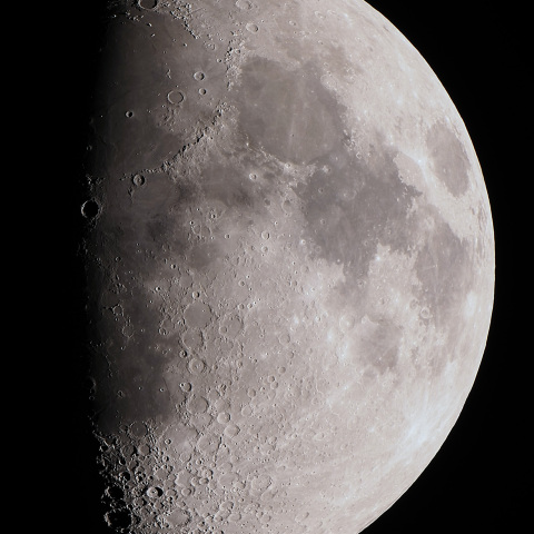 月齢9.2（2025/11/29）