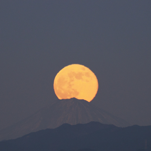 パール富士（2025/12/05）