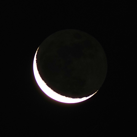 月齢26.6(2025/12/17)