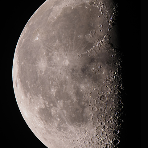 月齢20.8 (2026/01/10)