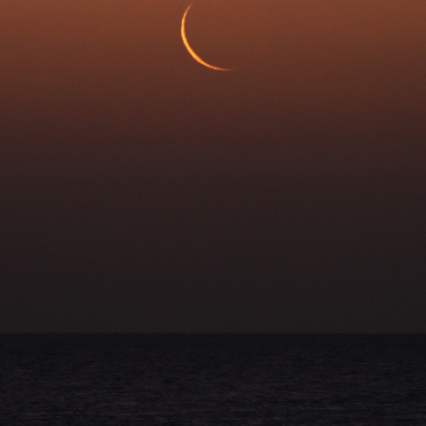 月齢27.8（2026/01/17）