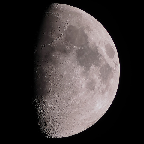 月齢8.6（2026/01/27）