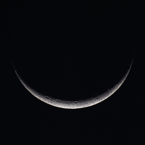 月齢2.3(2026/03/21)