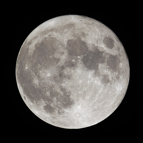 月齢14.4(2026/04/02)