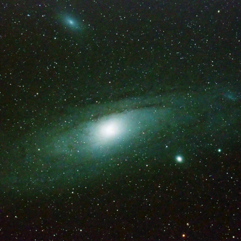 M31