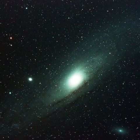 M31