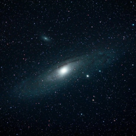 M31