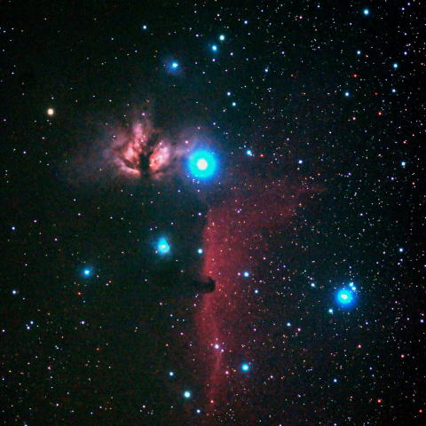 馬頭星雲～NGC2024