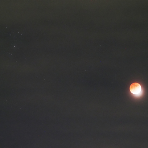 11/19の部分月蝕