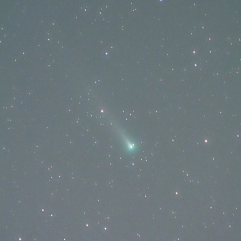 12/4のレナード彗星
