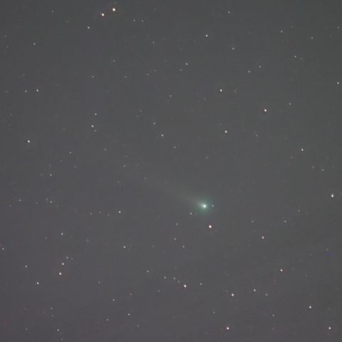 12/11のレナード彗星