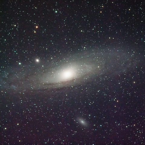 M31