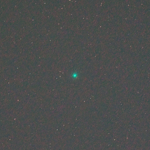 8/26の西村彗星(C/2023 P1)