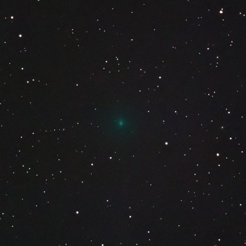 ネフスキー彗星(C/2013 V3)