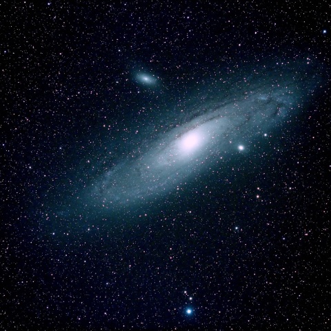 M31