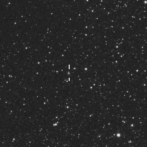 C/2023 R1 (PANSTARRS)