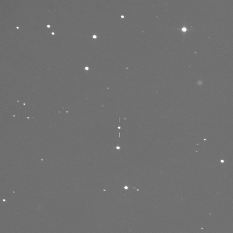 小惑星　(690)