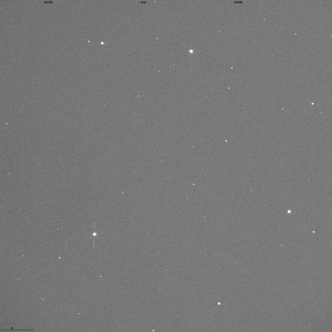 かんむり座　T星