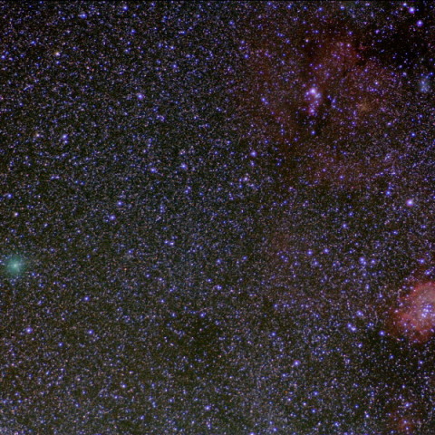 ハートレー彗星～クリスマスツリー～バラ