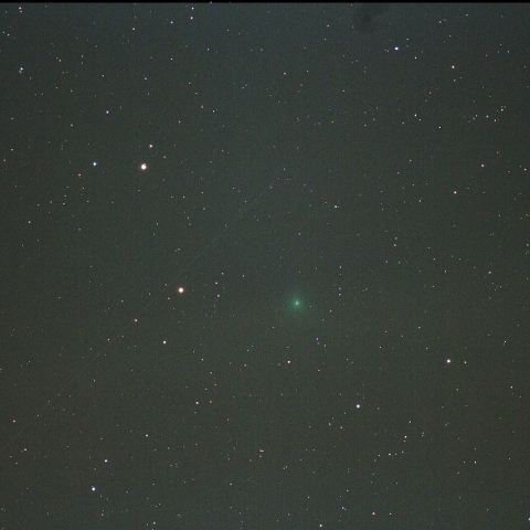 紫金山彗星(62P)