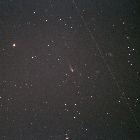 紫金山・アトラス彗星