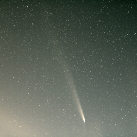 紫金山・アトラス彗星