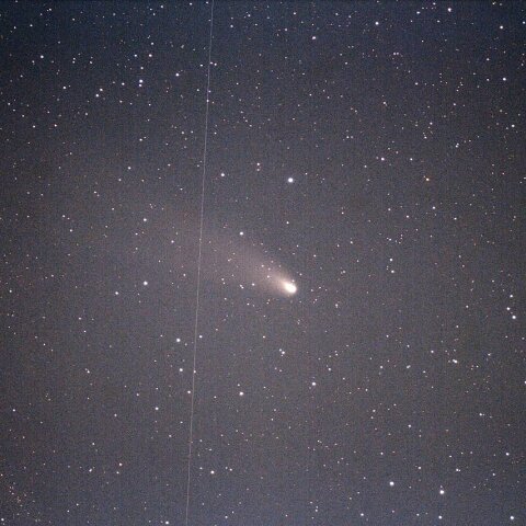 2024/11/25 紫金山・アトラス彗星