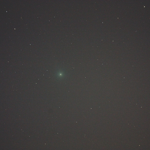 ラブジョイ彗星