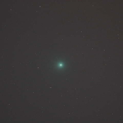 ラブジョイ彗星