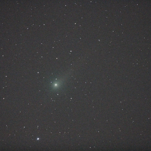 ジョンソン彗星