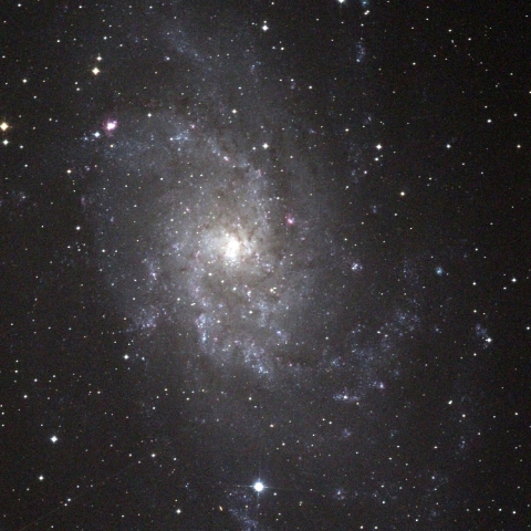 M33