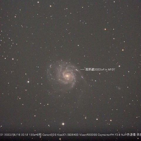 6月16日超新星2023ixf in M101