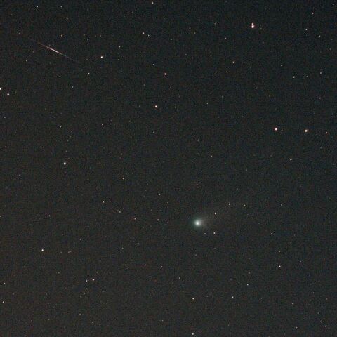 ポン・ブルックス彗星