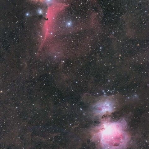 馬頭星雲　オリオン大星雲