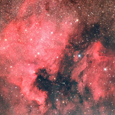 北アメリカ星雲とペリカン星雲