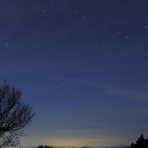 富山県氷見市から見たカノープス