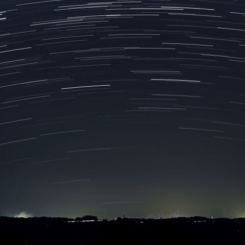 カノープス　福井県あわら市北潟　2026年1月18日