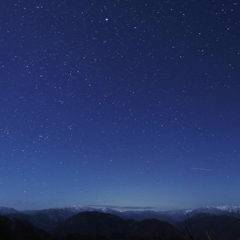 富山県富山市で見たカノープス