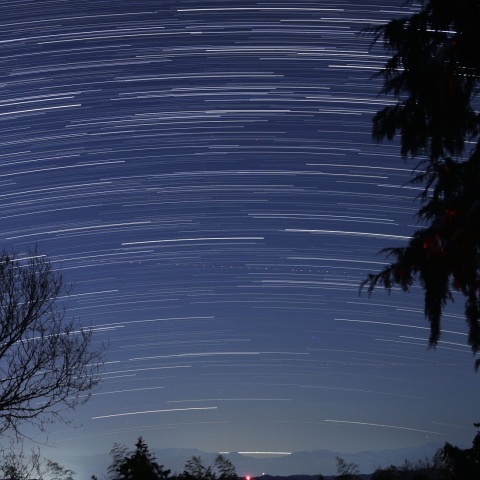 富山県氷見市で見たカノープス