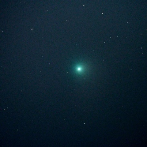 カタリナ彗星(30.5cmF4／都下)