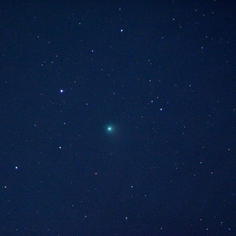 カタリナ彗星(10cmF4／都下)