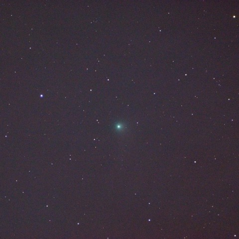 カタリナ彗星(都下／10cmED_F4)